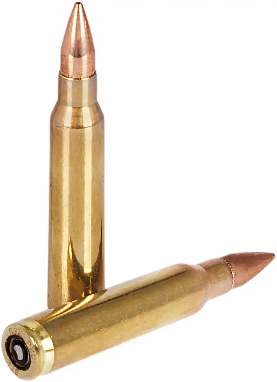 Набої нарізні STS Subsonic,223 Rem Subsonic куля PT 100gr (6.48г) 30 шт - зображення 2